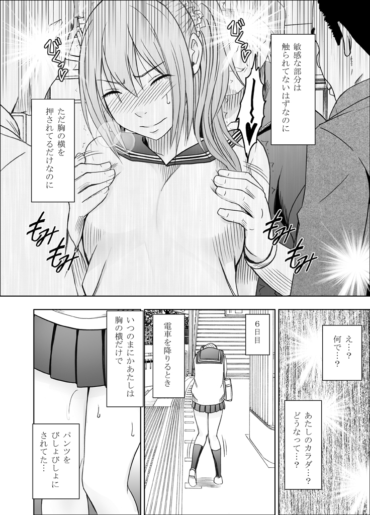1年365日電車の中で痴漢たちに調教され続け開発されてしまった処女 前編