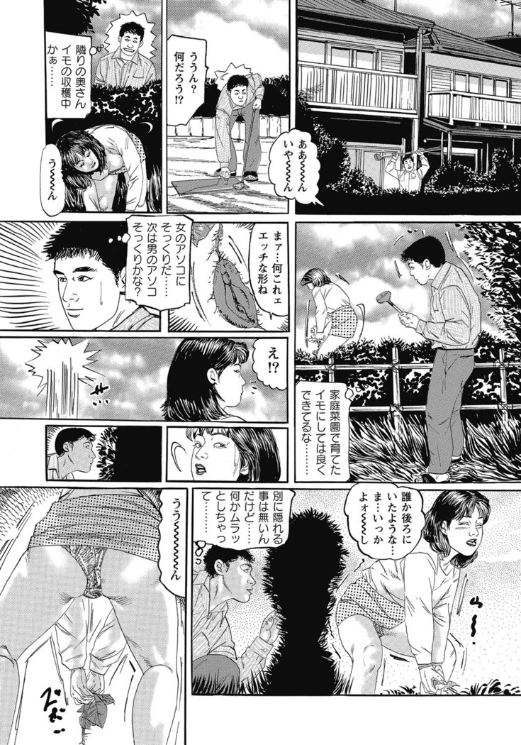 Yokkyuu Fuman no Hitozuma Furin Nikki