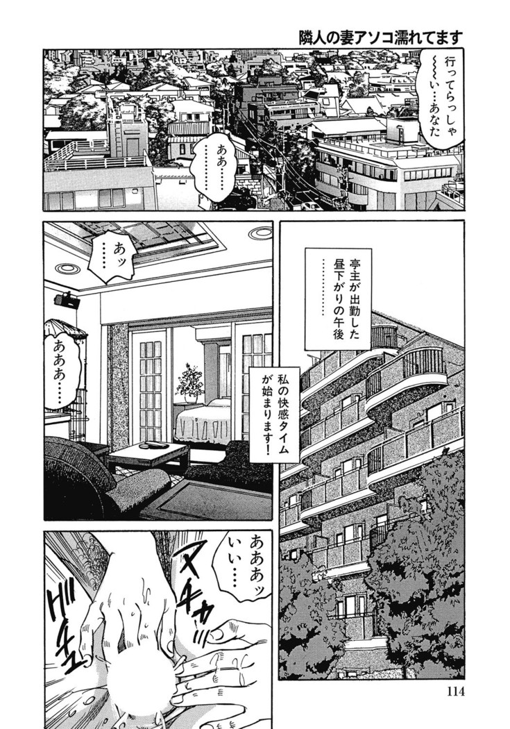 Yokkyuu Fuman no Hitozuma Furin Nikki