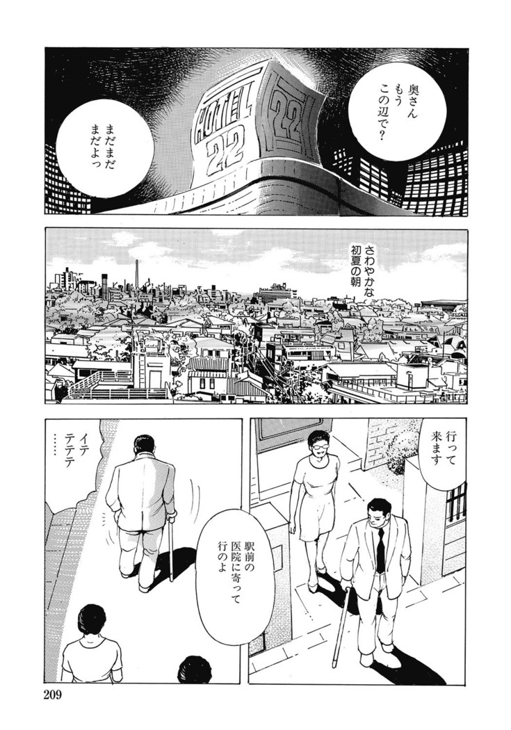 Yokkyuu Fuman no Hitozuma Furin Nikki
