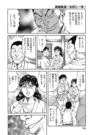 Yokkyuu Fuman no Hitozuma Furin Nikki Page #229
