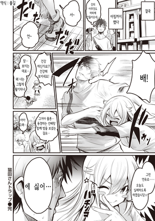 Nekota-san Trap | 네코다 트랩 Page #23