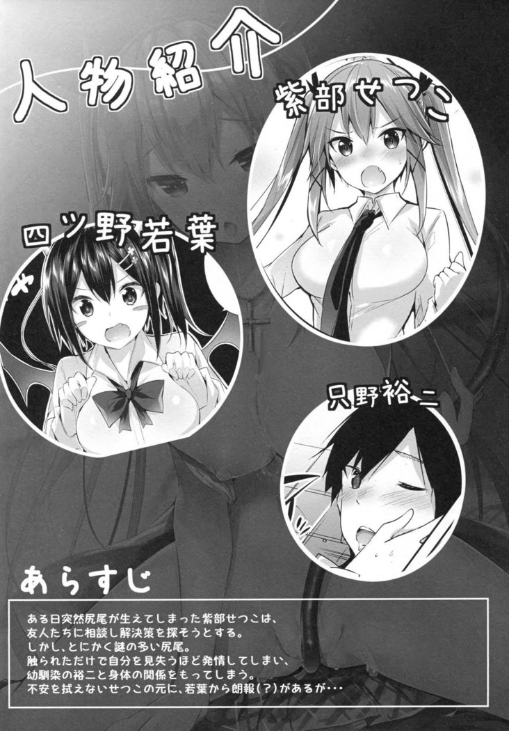 Koakuma Setsuko no Himitsu vol. 2
