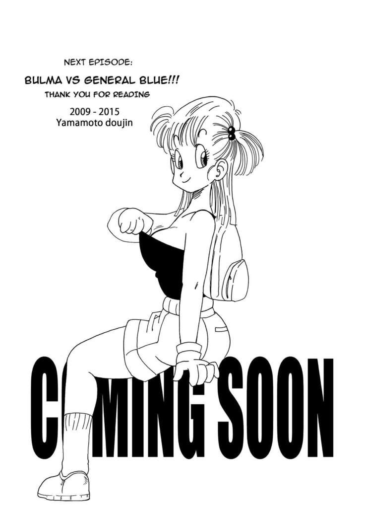 Bulma and Friends