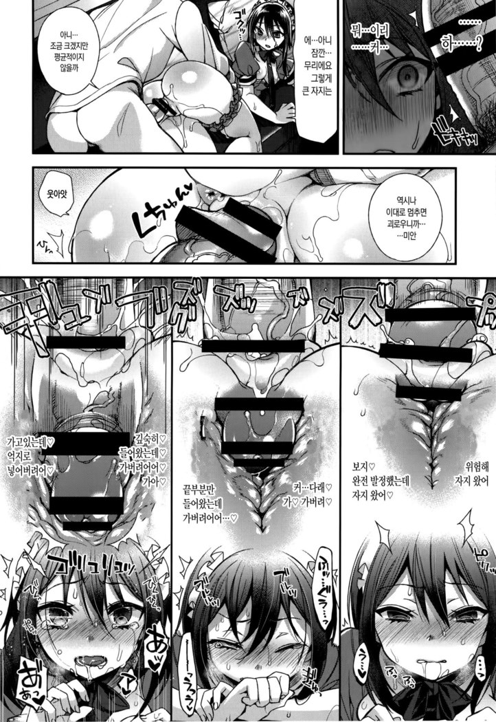 Ojousama to Maid no Midarana Seikatsu | 아가씨와 메이드의 음란한 생활