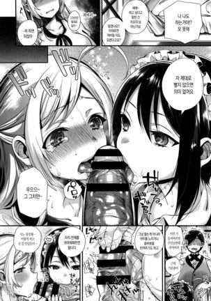Ojousama to Maid no Midarana Seikatsu | 아가씨와 메이드의 음란한 생활 Page #40