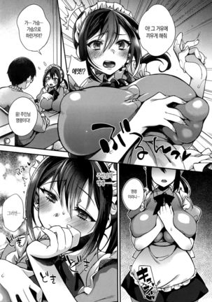 Ojousama to Maid no Midarana Seikatsu | 아가씨와 메이드의 음란한 생활 Page #19