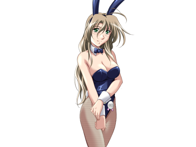 Do You Like Horny Bunnies? 2 (decensored)