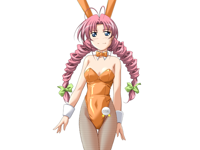 Do You Like Horny Bunnies? 2 (decensored)