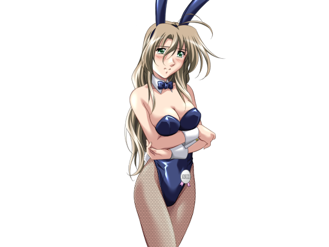 Do You Like Horny Bunnies? 2 (decensored)