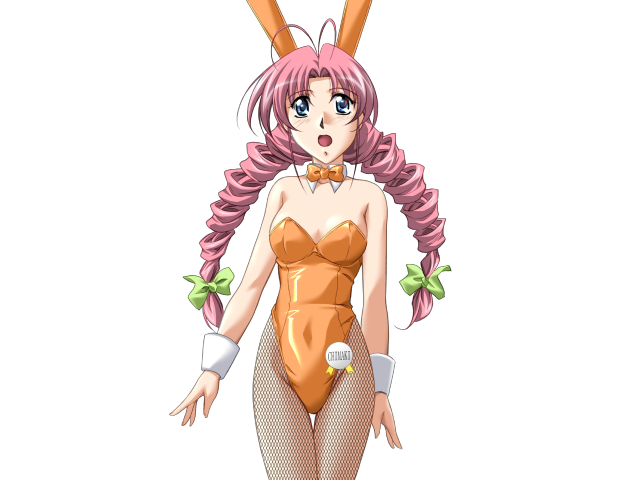 Do You Like Horny Bunnies? 2 (decensored)