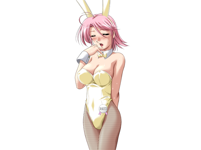 Do You Like Horny Bunnies? 2 (decensored)