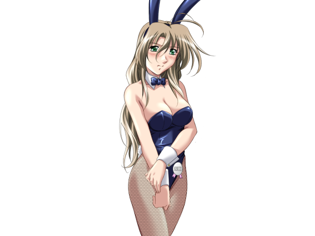 Do You Like Horny Bunnies? 2 (decensored)