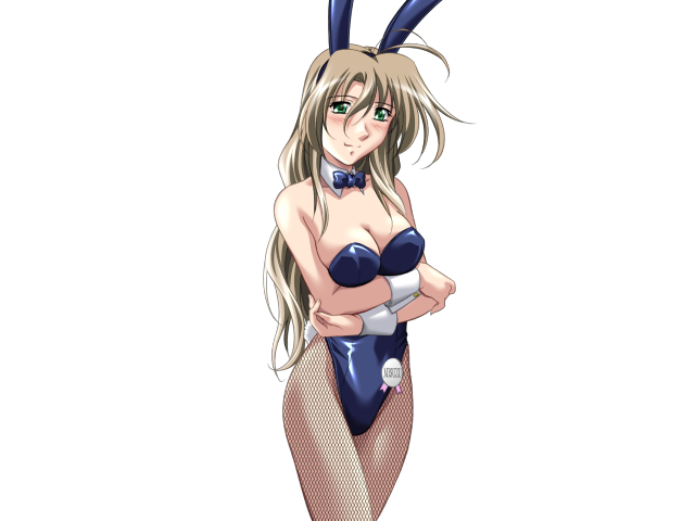 Do You Like Horny Bunnies? 2 (decensored)