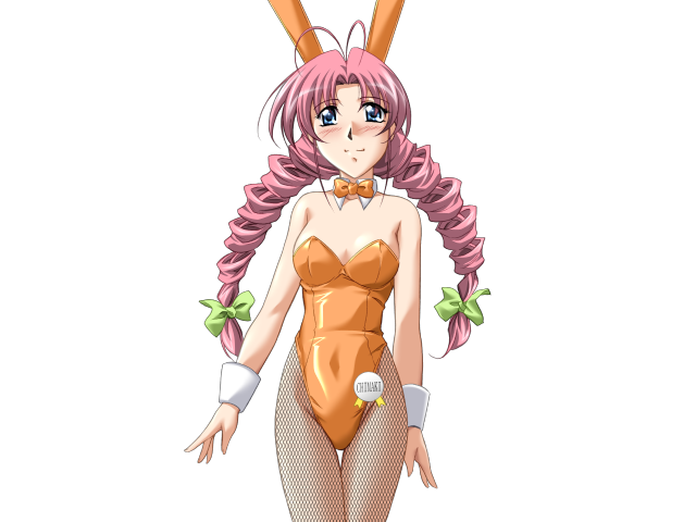 Do You Like Horny Bunnies? 2 (decensored)
