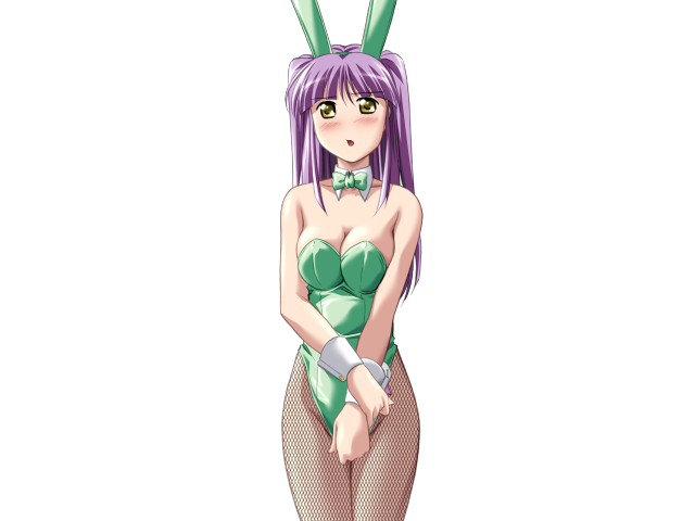 Do You Like Horny Bunnies? 2 (decensored)