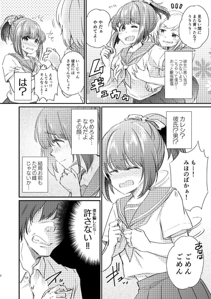 Heroine Mesuniku Kaizou Keikaku