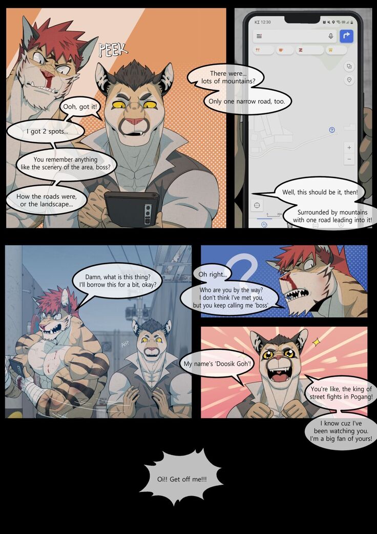 Hidden Arena