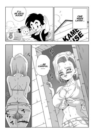 18-gou vs Kame Sennin | Android n18 VS Kamesennin Page #29