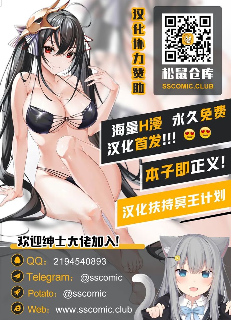 SKIN · ノーマルミッション01【不可视汉化】