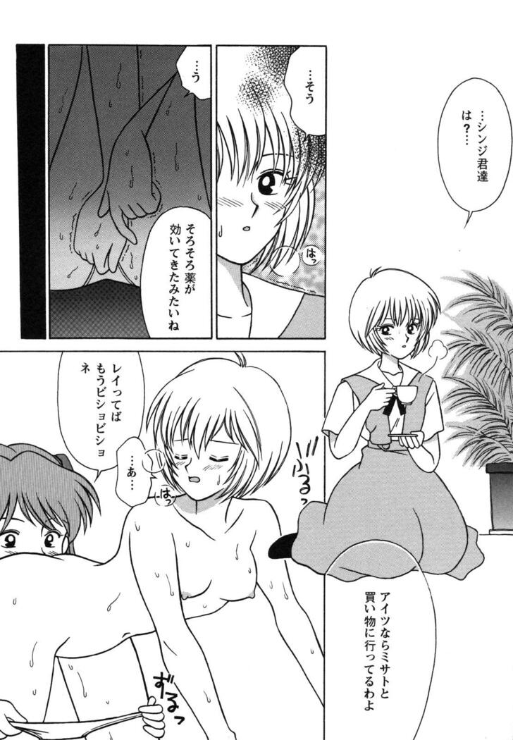 ProjectE Dainiji Chuukanhoukoku