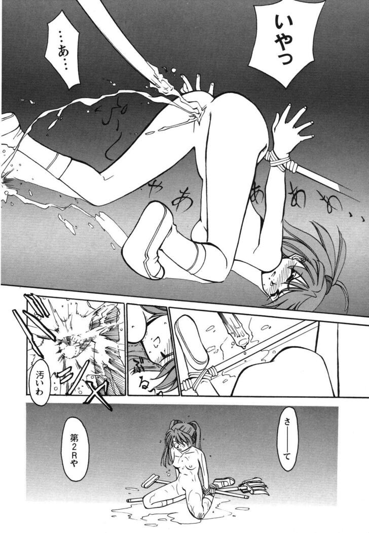 ProjectE Dainiji Chuukanhoukoku
