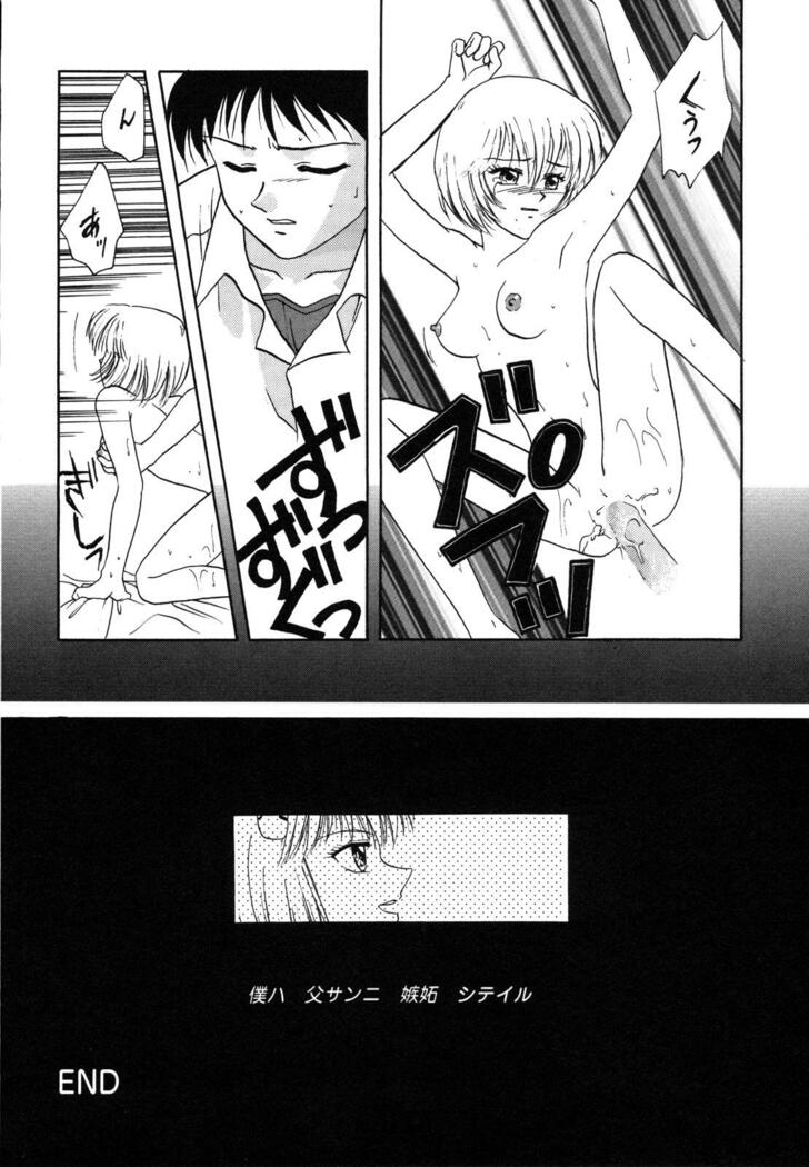 ProjectE Dainiji Chuukanhoukoku