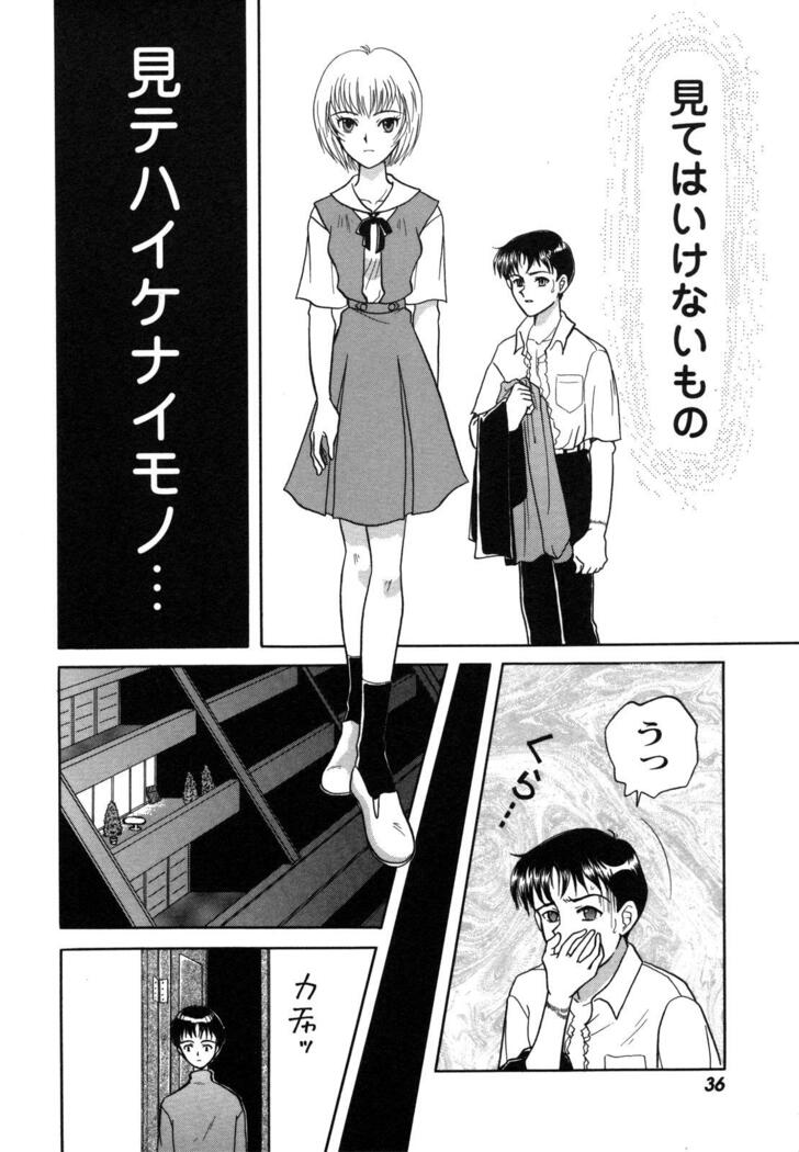 ProjectE Dainiji Chuukanhoukoku