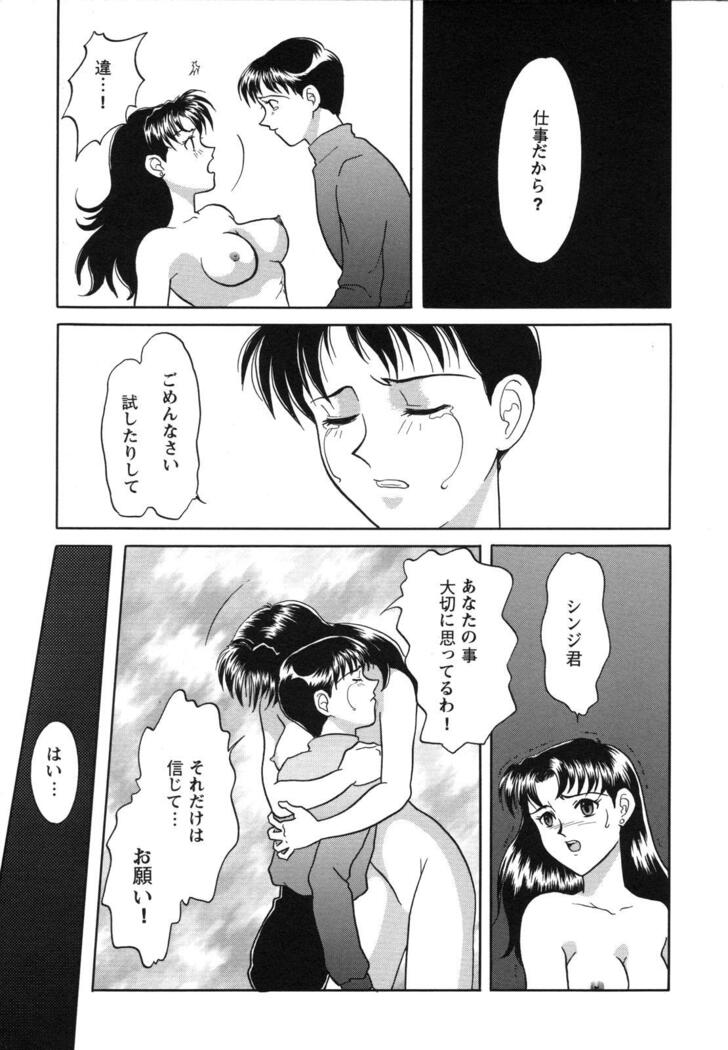 ProjectE Dainiji Chuukanhoukoku