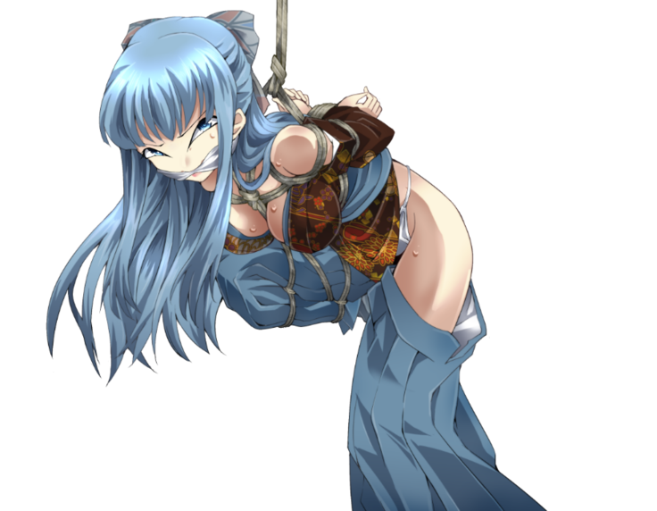 DIDRPG 和
