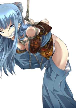 DIDRPG 和