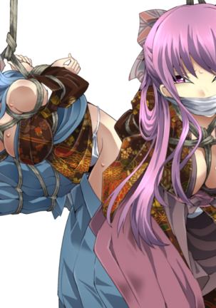 DIDRPG 和