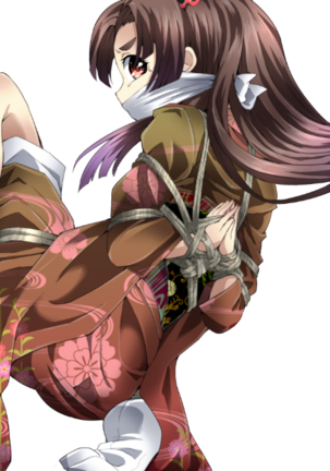 DIDRPG 和