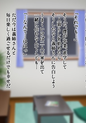 アネオチ -義姉が父に堕ちるまで- - Page 14