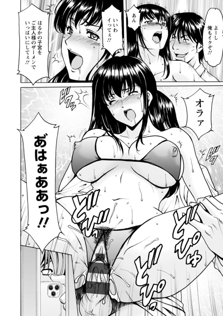 Sennou NetorareTsuma Haruka