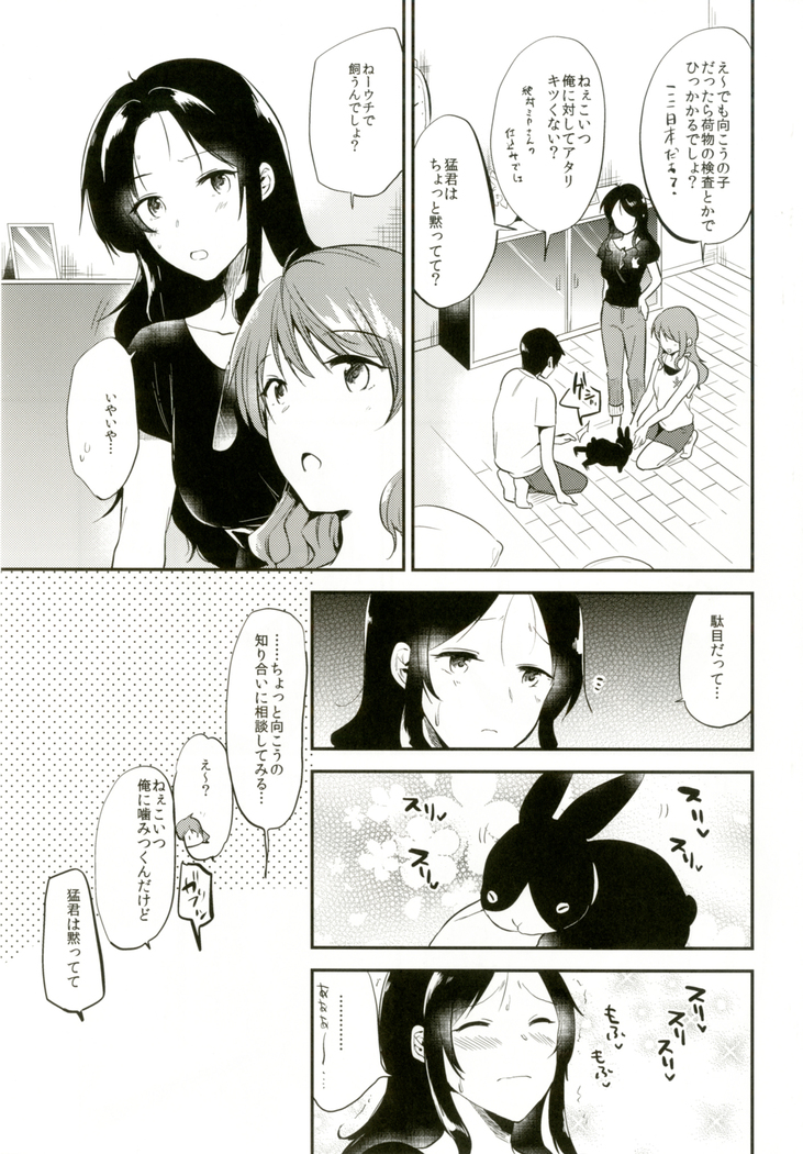 Rabbit Paradise ~afterdays~