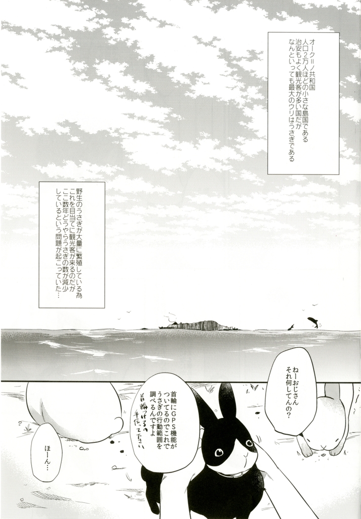 Rabbit Paradise ~afterdays~