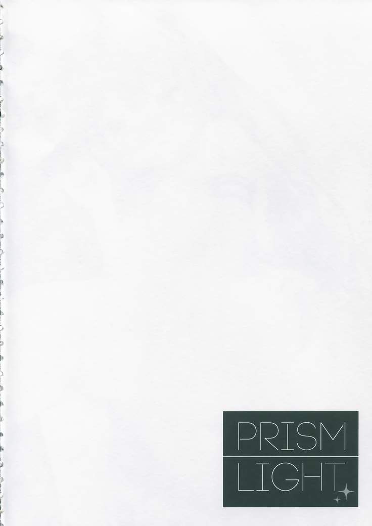 PRISM LIGHT