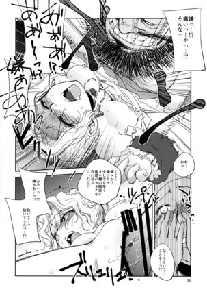 GRASSEN'S WAR ANOTHER STORY Ex #05 Node Shinkou V - Page 30