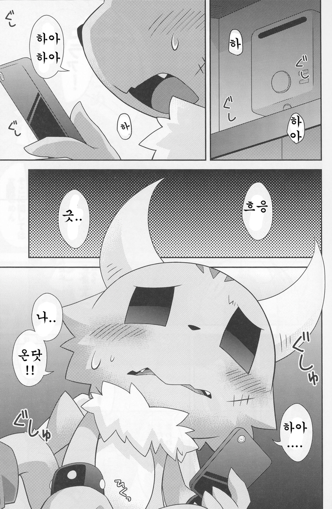 Kakukatariki