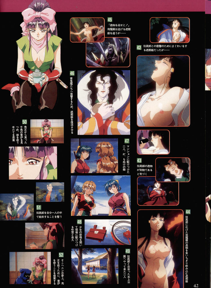 Injuu Gakuen You no Shou Secret File