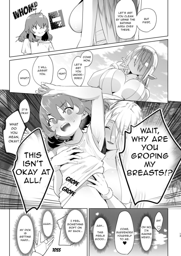 That Time I Was Reborn as a FUTANARI Heroine in Another World