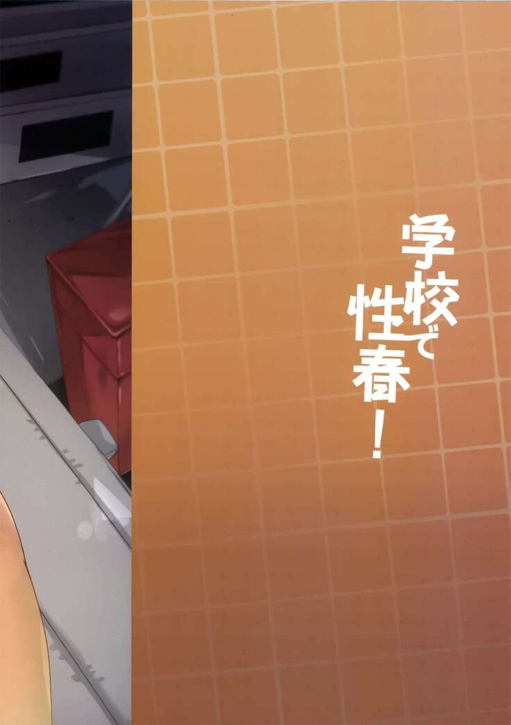 Gakko de seishun! 1 - 17 + Bangai
