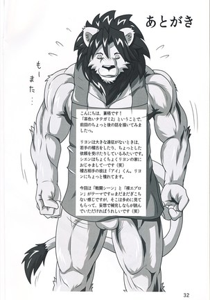 Chairoi Tategami 2 Page #30