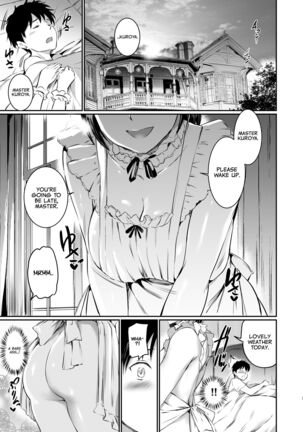 Akuma de Maid. 3 -lust- Shikiyoku Page #8