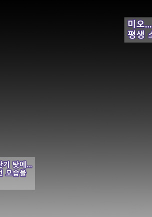 Image 2839340