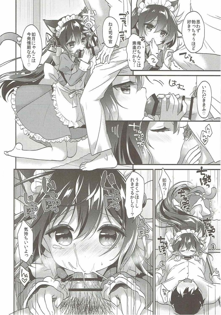 Kisaragi Nyanko Maid