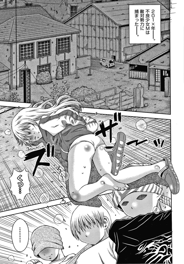 Bishoujo Koushuu Nikubenki