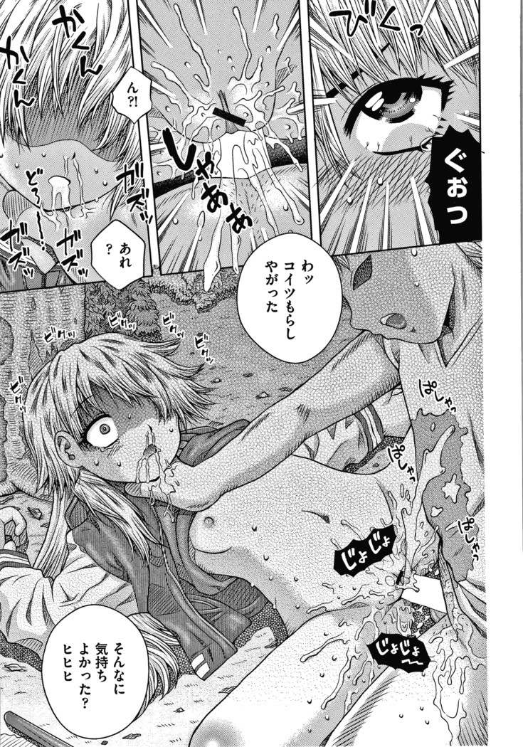 Bishoujo Koushuu Nikubenki