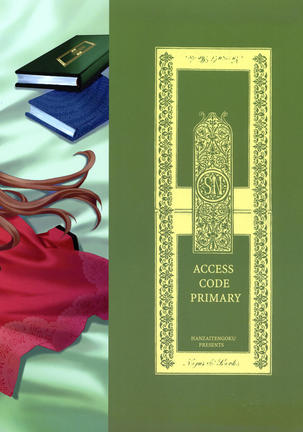 access code primary Page #29